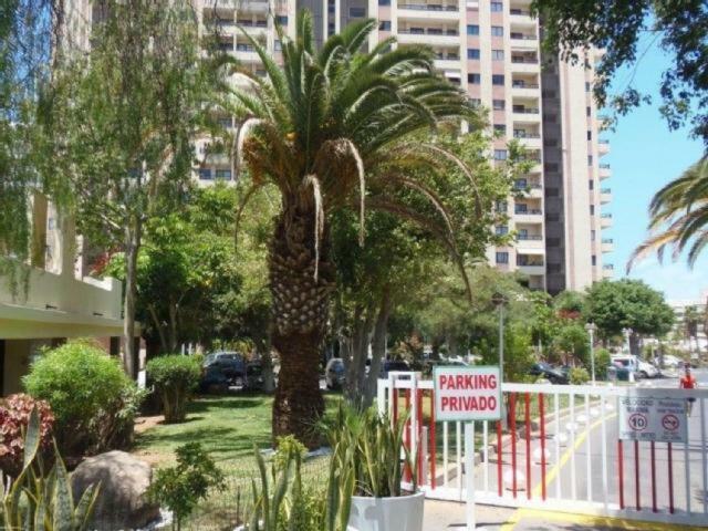 Ocean House & Perfect For You Costa Adeje  Exterior photo